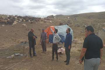 هشدار مدیرکل امور عشایر استان اردبیل نسبت به بازگشت زودهنگام عشایر به قشلاق